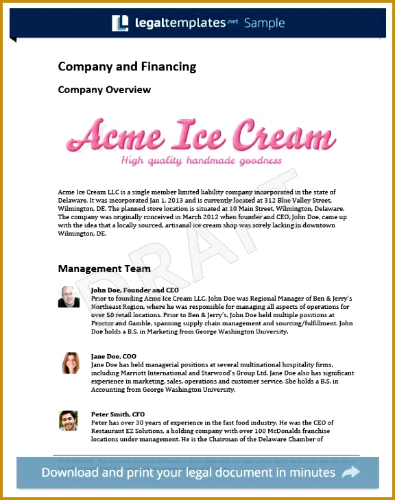 Acme Business plan template 730576