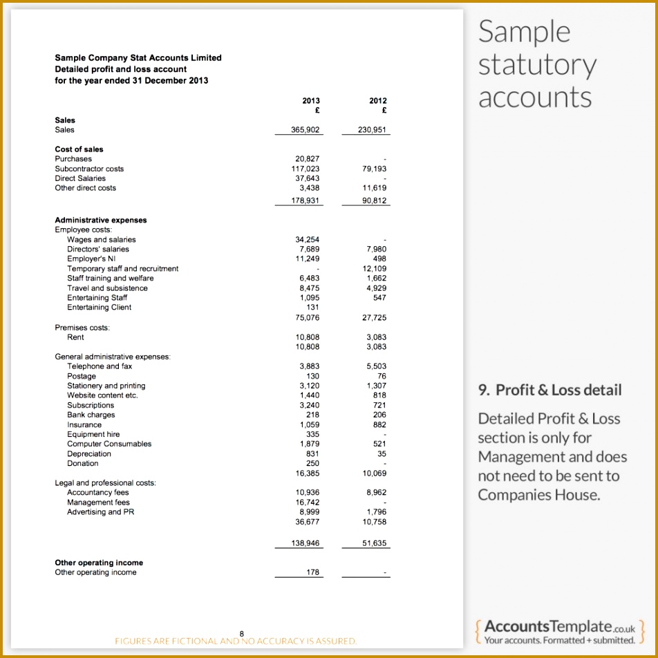 Sample Profit and Loss Report from Statutory Accounts 952952