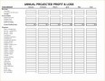 8 Business Profit and Loss Account format