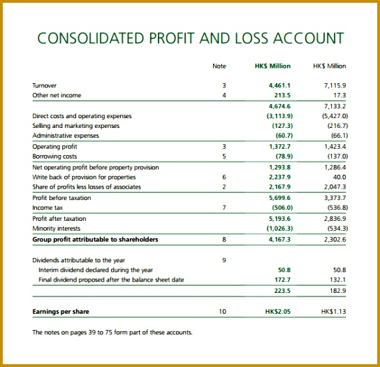 Consolidate Profit and Loss Template 525544