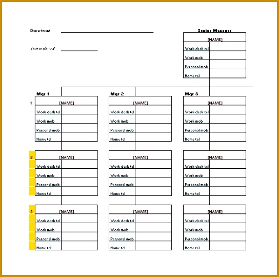 This template here shows a chart tracking the numbers of desk telephone work mobile personal mobile and home phone of the senior manager the other junior 540544