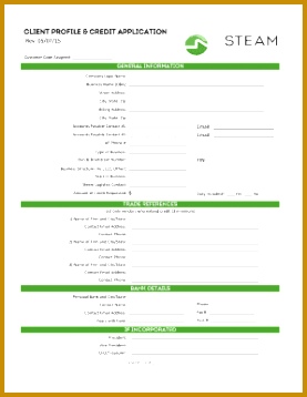 CLIENT PROFILE CREDIT APPLICATION 358277