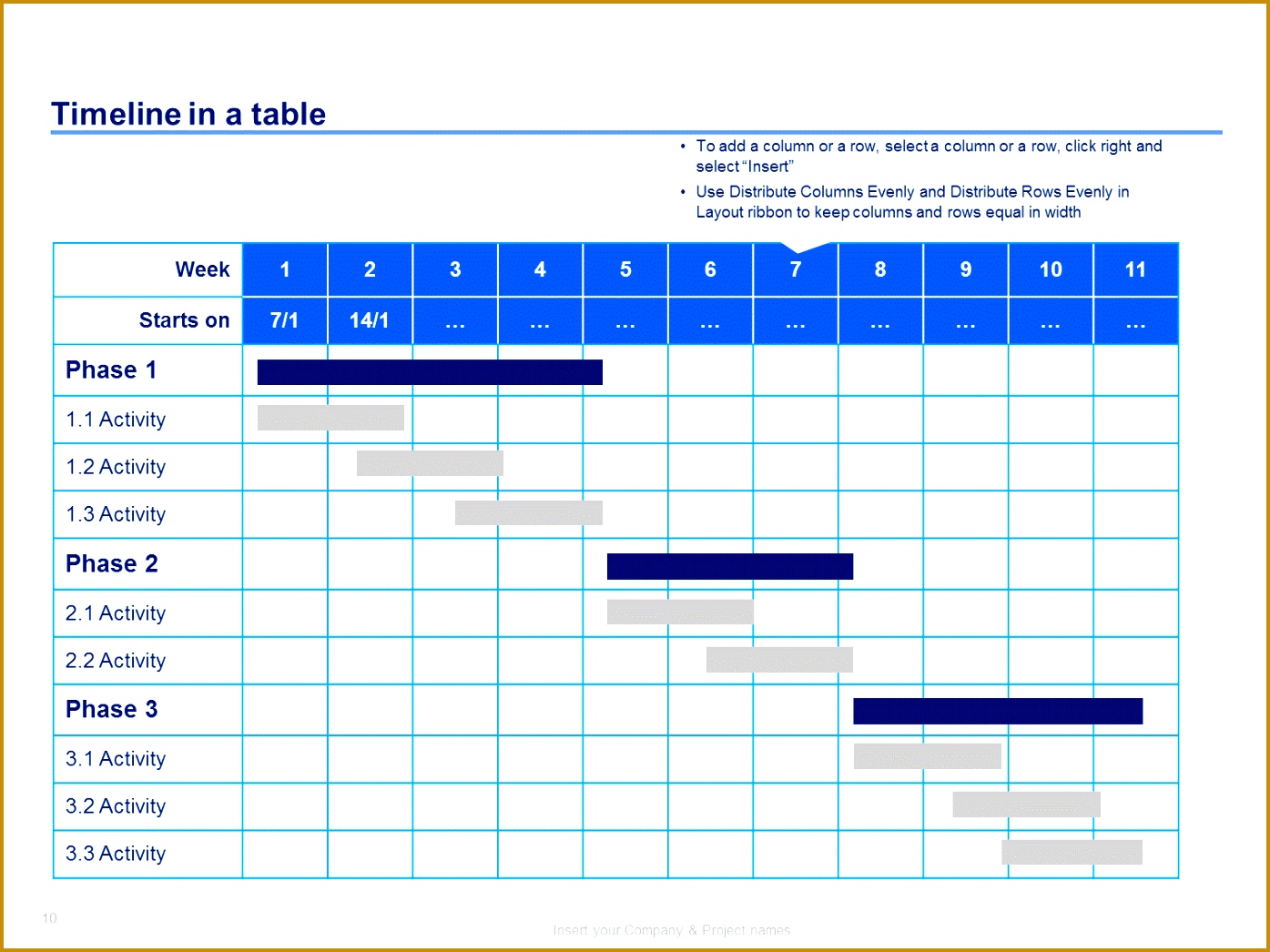 Project Plan & Timeline Templates 10461395