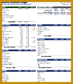 Household Bud Worksheet 167146