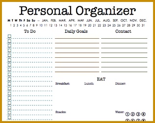 Personal Organizer EDITABLE Daily planner weekly planner to do checklist 251316