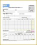 3 Daily Expense Report Template