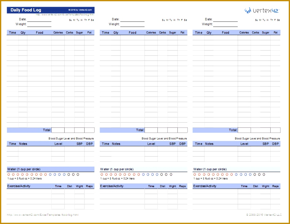 Daily Food Log 729943