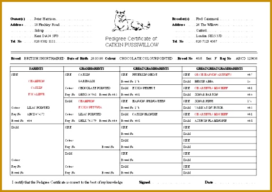 Pedigree Certificate Template Free 396559