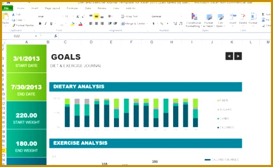 t and exercise journal template for excel 2013 1 580x355 330539