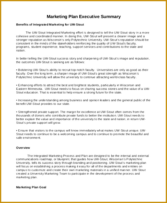 strategic plan executive summary example 678558