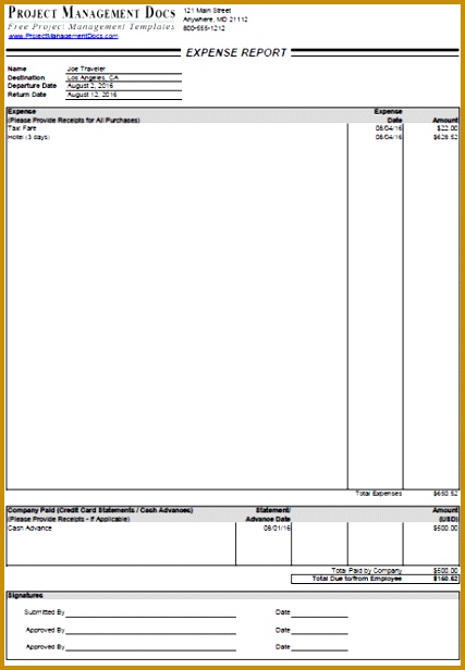 Domestic Expense Report Template 616427