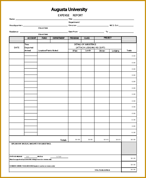 sample expense reports 678558