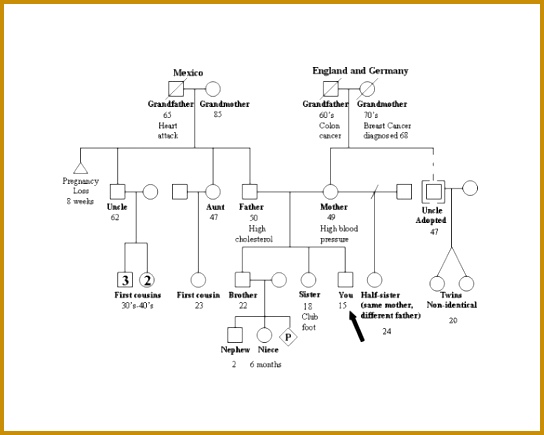 Genome Family Tree Free PDF Download 544435