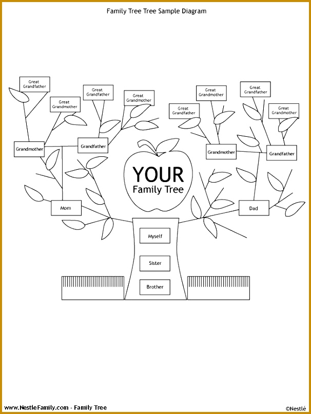 Family Tree Template Word Free Occupy Wall Street Demands Fox Picture 805606