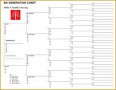 8 Family Tree Diagram Word Template