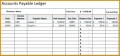 5 Financial Ledger Template