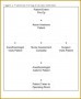 5 Flowchart Template