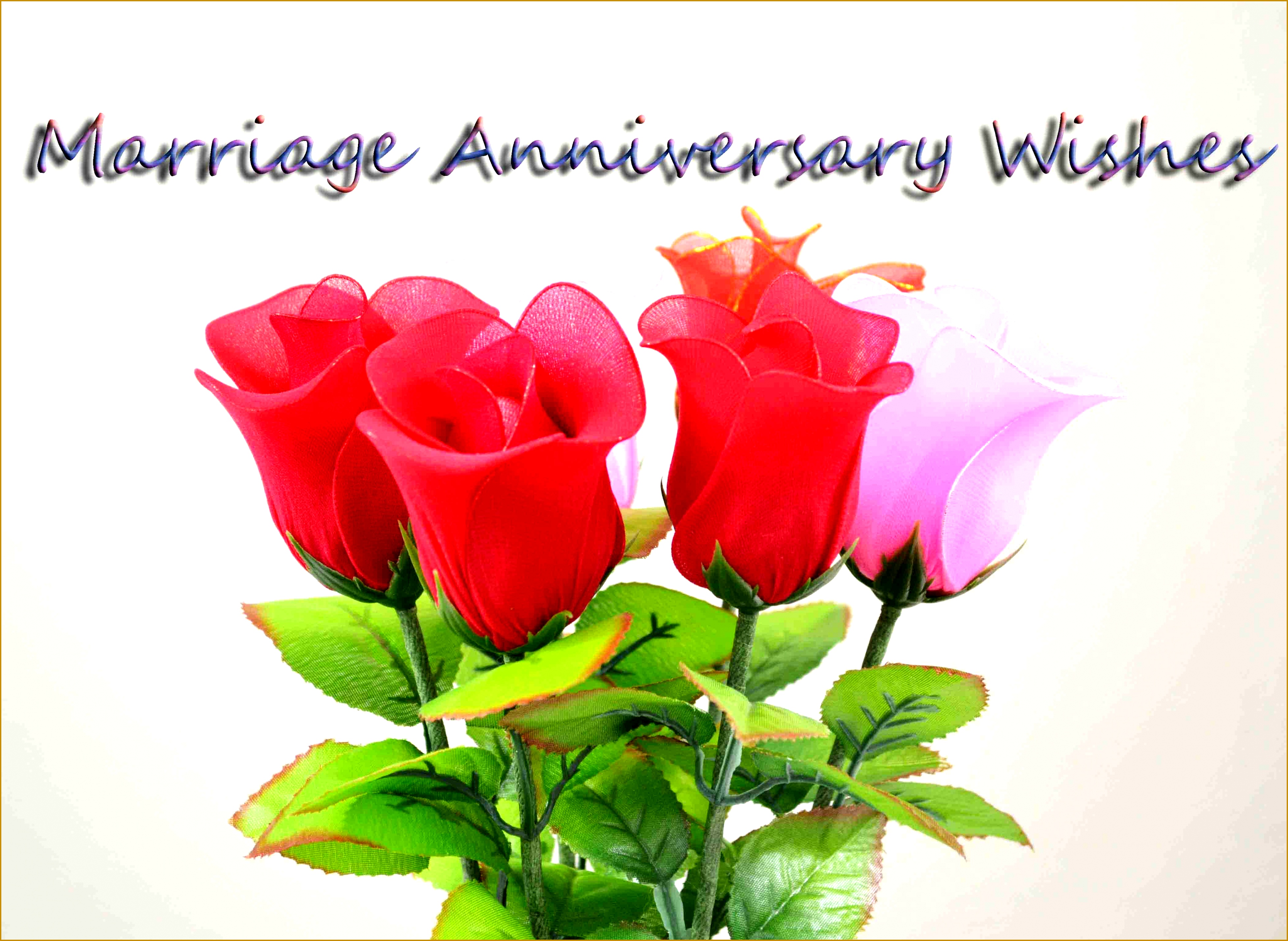 best happy wedding anniversary wishes images cards greetings photos for husband wife 28563911