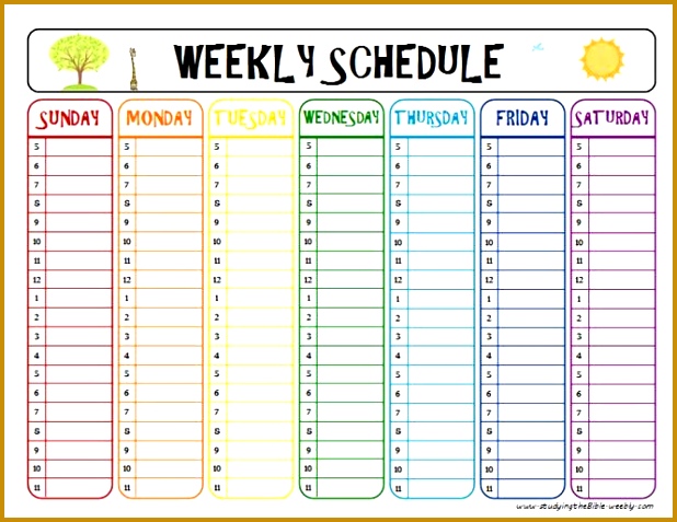 printable week schedule to help with homework and after school activities 477618
