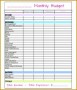8 Monthly Excel Budget Worksheet Template
