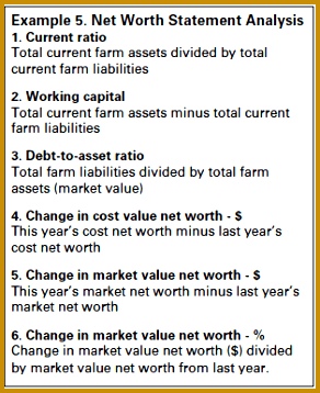 Example 5 Several ratios can be puted from the net worth statement 358292