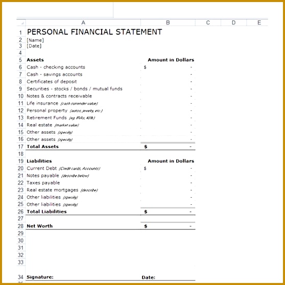 Personal Financial Statement Templates 9 Download Free 558558