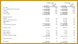 In e Statement Template 186325