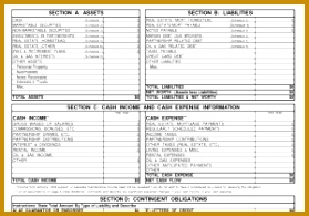 Real Estate Financial Statement Template and Personal Financial Statement form Template Template 279195