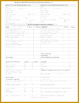 Fillable Personal Financial Statement 358277