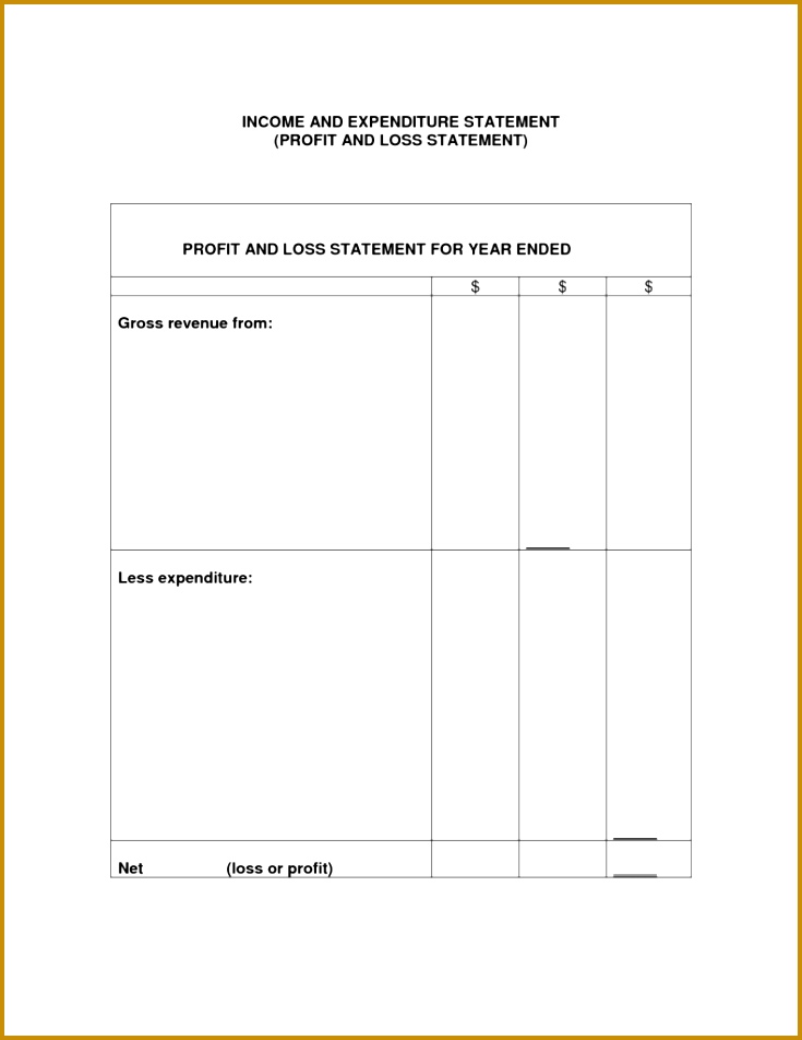 Non Profit Financial Statement Template and Profit and Loss Statement Projected Profit and Loss Statement 952735