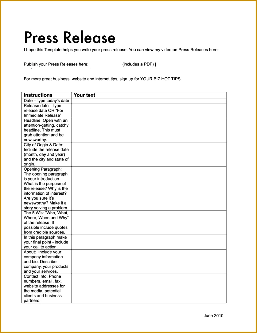 press release format 8371083