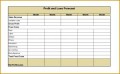 6 Profit and Loss Report Template