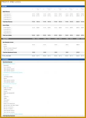 Profit and Loss Statement 383279