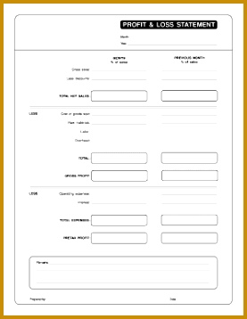 profit and loss statement pdf form 358277