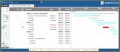 4 Project Timeline with Milestones Template