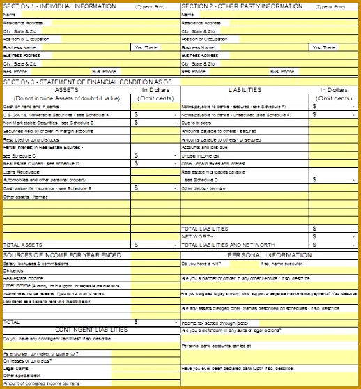 Printable Personal Financial Statement Template 02 558518