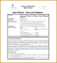 5 Summary Report Template