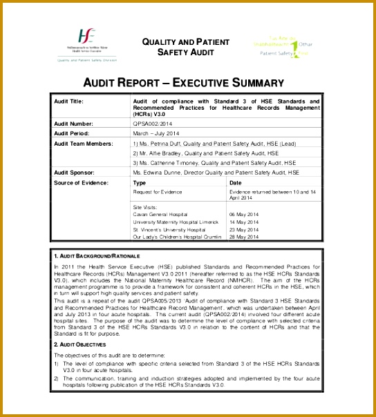 audit summary report 544604