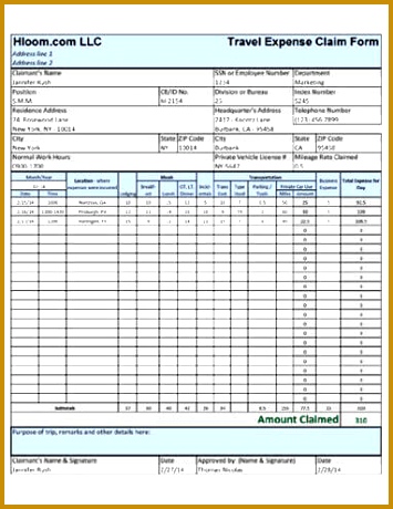 travel expences form 355460