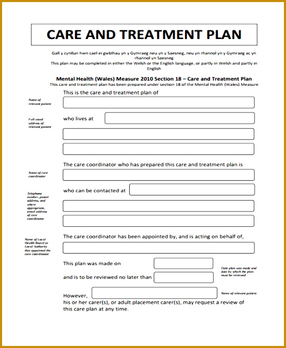 Treatment Care Plan 558678