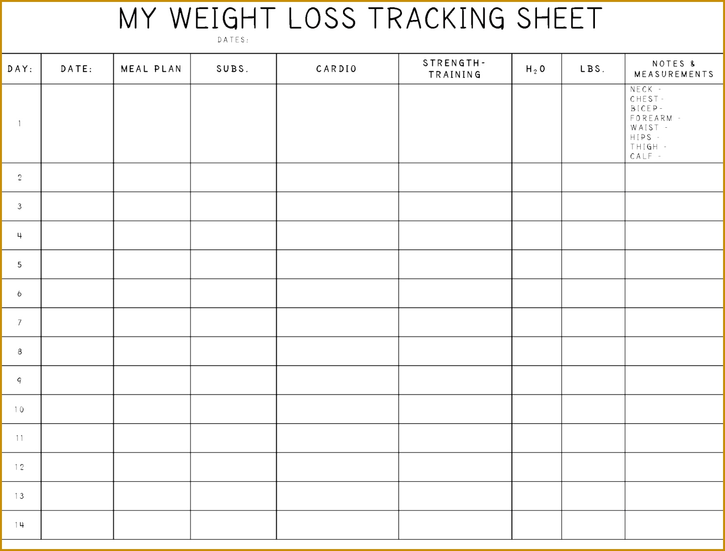 weight loss tracking sheet 14881130