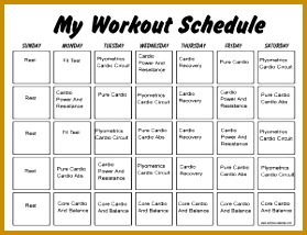 Insanity Workout Schedule 214279