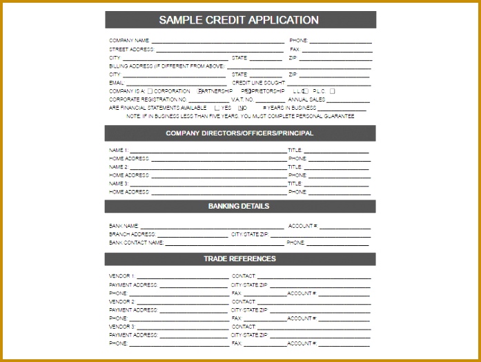credit application template 697524