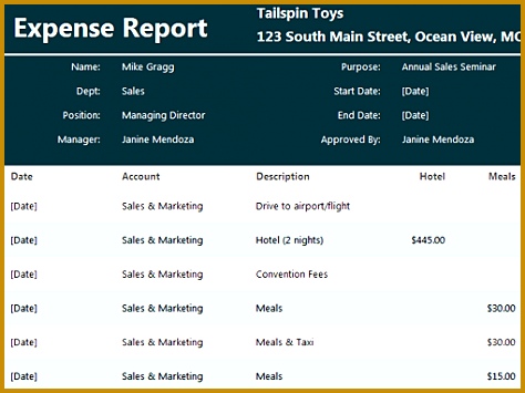 expense report template 355474