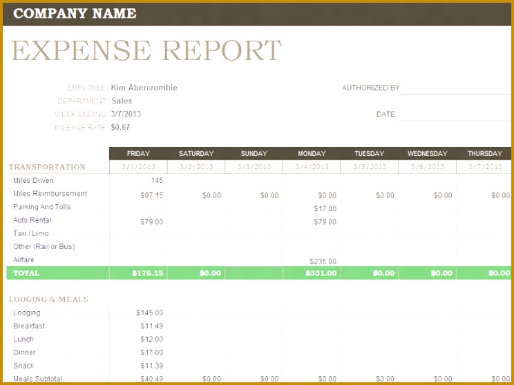 weekly expense report 262 558744