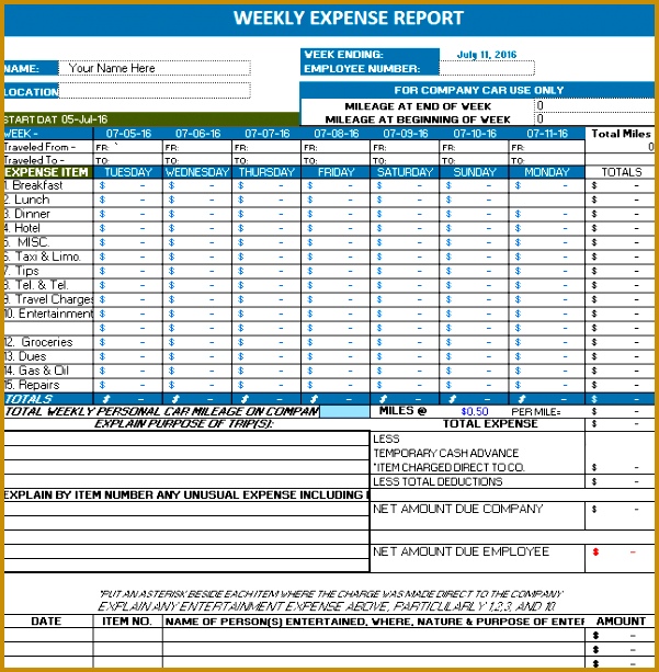 weekly expense report 613601