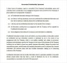 Accountant Confidentiality Agreement Word Template
