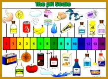 pH Scale Activity Acids and Bases 219162