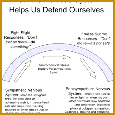 Trauma worksheet 232232