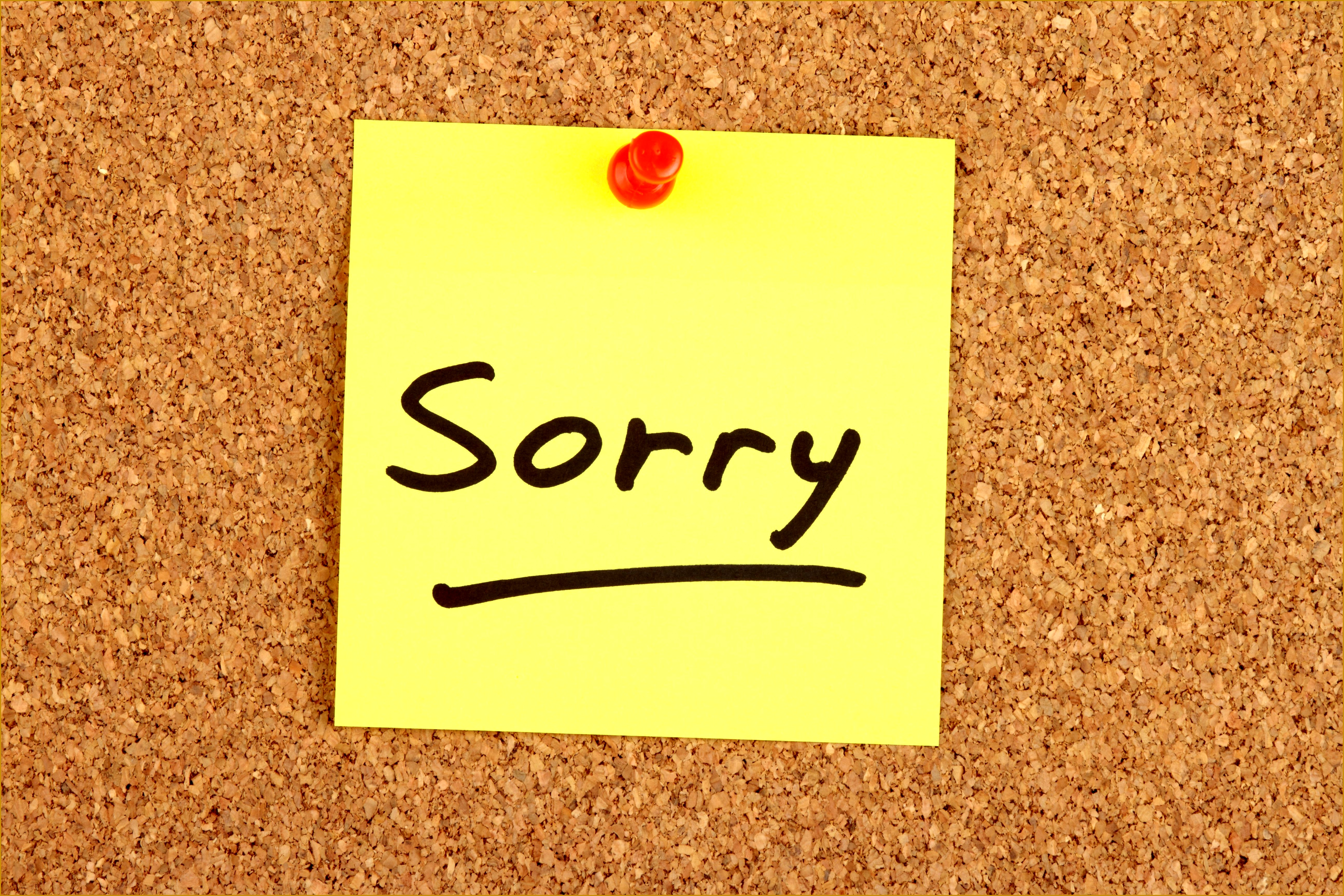 Sorry written on an Adhesive Note 32144821